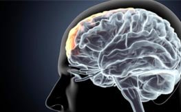stroke-treatment